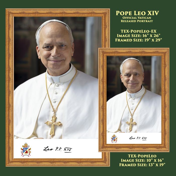 Official Pope Leo Framed Print