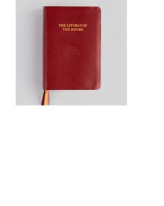 2nd Edition Large Print Liturgy of the Hours Standard Leather Edition