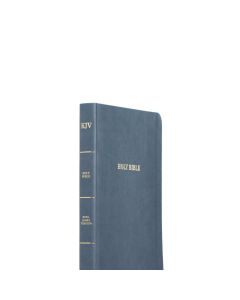 KJV Large Print Thinline Bible, Value Edition, Slate Leathertouch