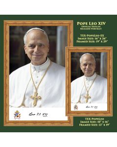 Official Pope Leo Framed Print
