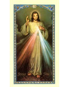 The Chaplet of the Divine Mercy Laminated Holy Card #800529