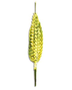 Woven Palm Decorative Fan