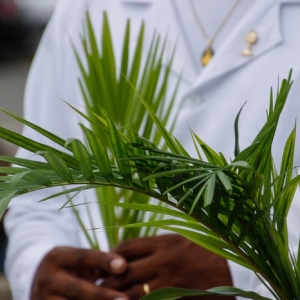 Palm Sunday image